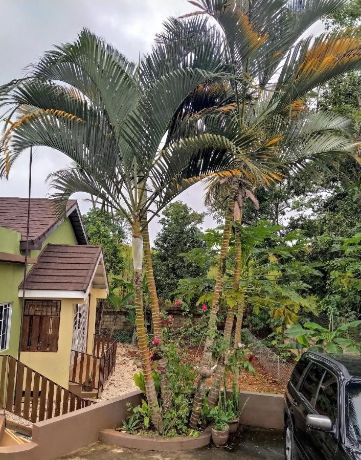 Gables Vacation Rentals With Private Gated Parking Onsite Knockpatrick Экстерьер фото