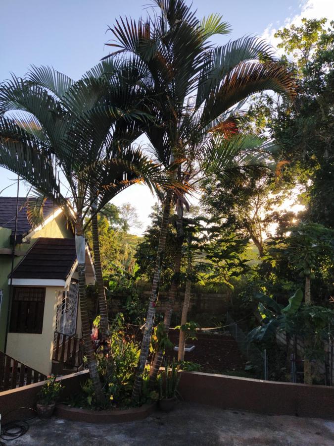 Gables Vacation Rentals With Private Gated Parking Onsite Knockpatrick Экстерьер фото